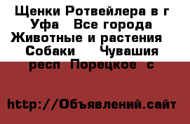 Щенки Ротвейлера в г.Уфа - Все города Животные и растения » Собаки   . Чувашия респ.,Порецкое. с.